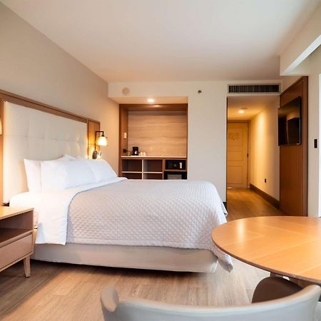Ms Milenium Monterrey Curio Collection By Hilton Hotel San Pedro Garza Garcia Buitenkant foto